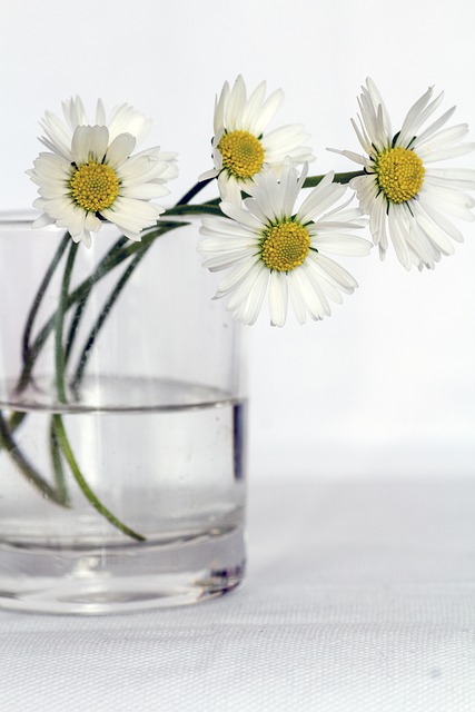 flowers 646637 640